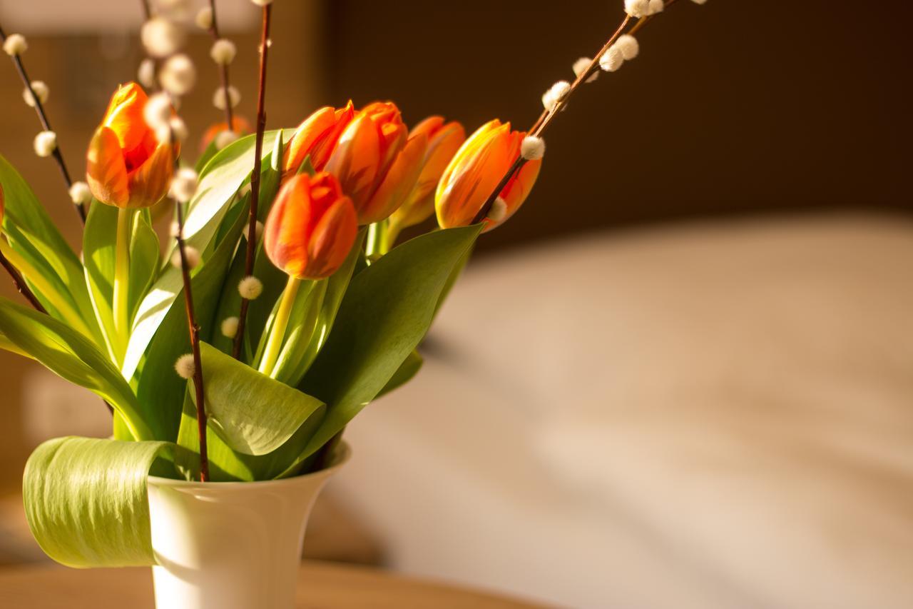 Hotel Heldt Бад Пирмонт Екстериор снимка